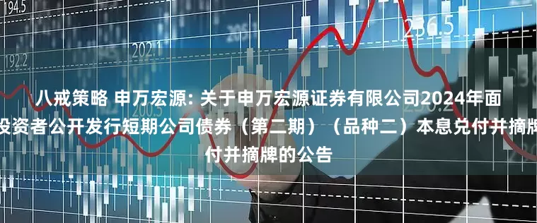 八戒策略 申万宏源: 关于申万宏源证券有限公司2024年面向专业投资者公开发行短期公司债券（第二期）（品种二）本息兑付并摘牌的公告