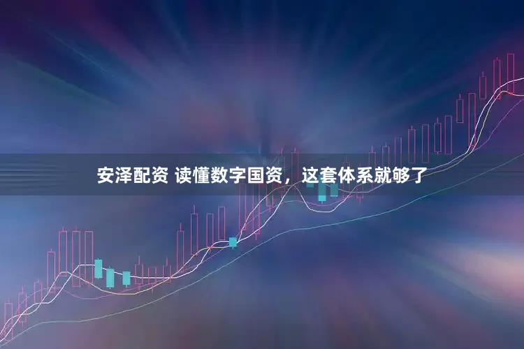 安泽配资 读懂数字国资，这套体系就够了